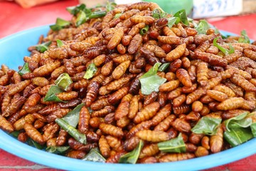 Fried Insect at street food