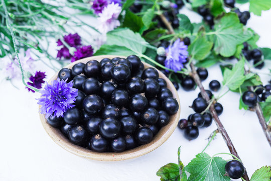 Fresh berries of black currant in a plate on a table. For a diet and saturation with vitamins