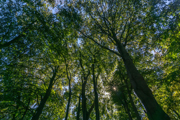 Brussels, Belgium - August/ 08/ 2018 - In a charming place in Belgium