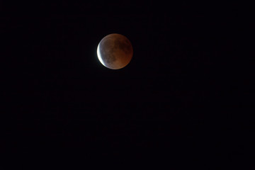 Red bloody Moon shortly after total Lunar Eclipse