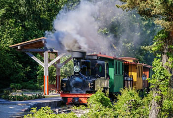 a small narrow-track train drives the park