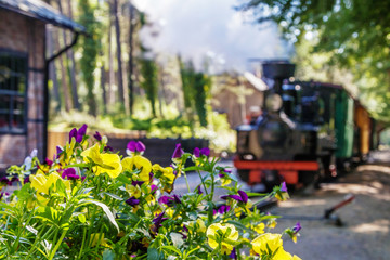 a small narrow-track train drives the park
