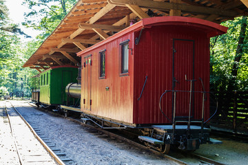 Fototapeta na wymiar a small narrow-track train drives the park