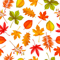 Seamless pattern with autumn leaves
