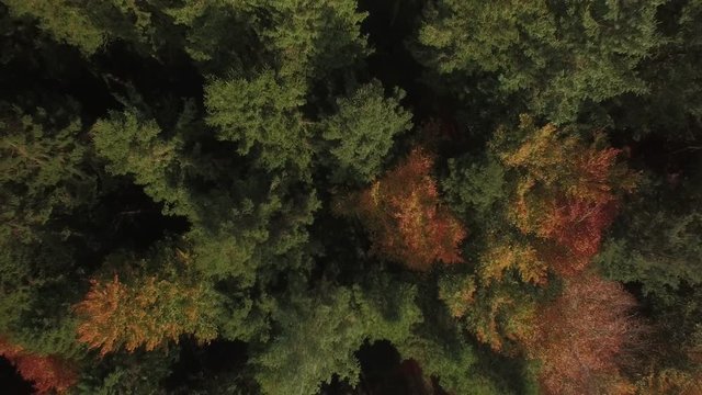 Aerial drone footage of Lough Muckno in Autumn. 
Castleblaney Co. Monaghan Ireland