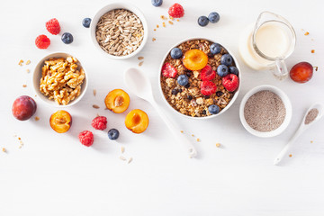 healthy granola for breakfast with berry fruit nut, vegan milk - obrazy, fototapety, plakaty