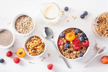 healthy granola for breakfast with berry fruit nut, vegan milk