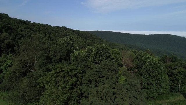 A rising summer aerial view revealing a large Pennsylvania forest.  	