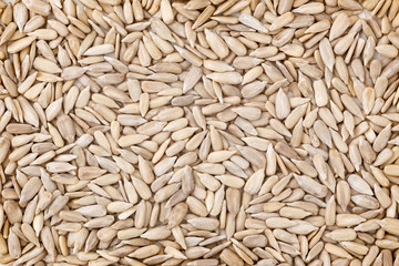 Sunflower seed background