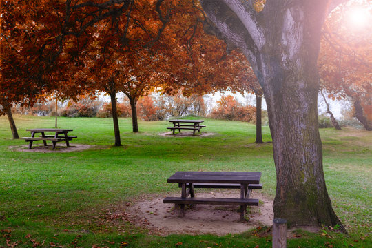 picnic table in autumn park at sunny day