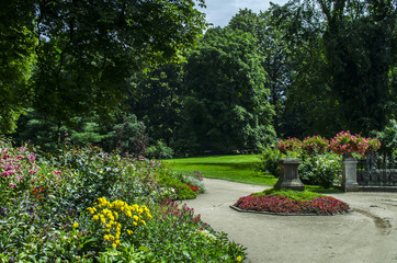 park kwiaty 