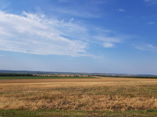 Obraz premium field and clouds on a sunny day