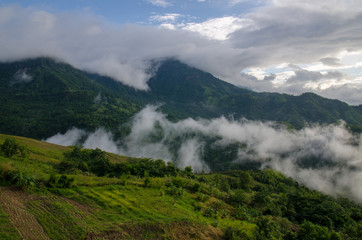 Obraz na płótnie Canvas Landscape with sea of foggy awakening in a beautiful hills at Thailand.