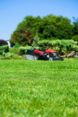 freshly mowed green grass in the yard and lawn mower on blurred background