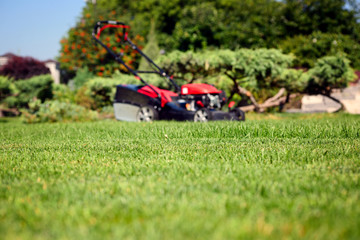 freshly mowed green grass in the yard and lawn mower in defocus on background
