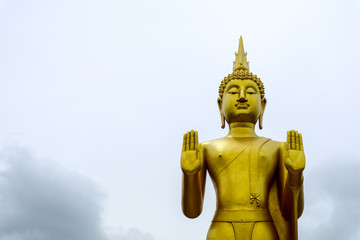 buddha status style the attitude of stopping the rainstorm fog background