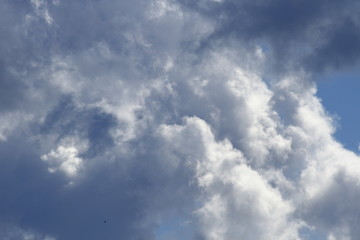 Sky with clouds and swallow, blue sky blue clouds of black swallows.