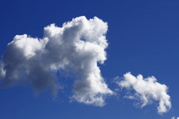 Sky with clouds and swallow, blue sky blue clouds of black swallows.