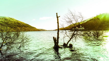 Picturesque tranquil scene over Loch Lomond in Scotland, UK.