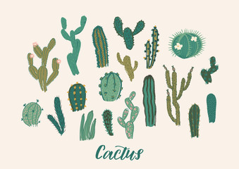 Cactus collection set. Vector illustration. Design element