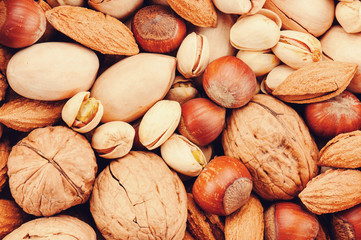 Background of various nuts in shell