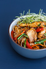 Plate of wok chiken noodles on the dark background