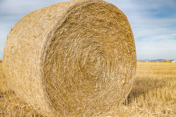 Straw bale on the field. Close-up. Agricultural field.