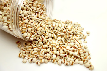 Coix Seed