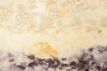 bright texture of the fabric with a spot of mold