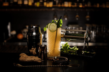 Fresh and sour summer cocktail with ginger, cucumber and mint