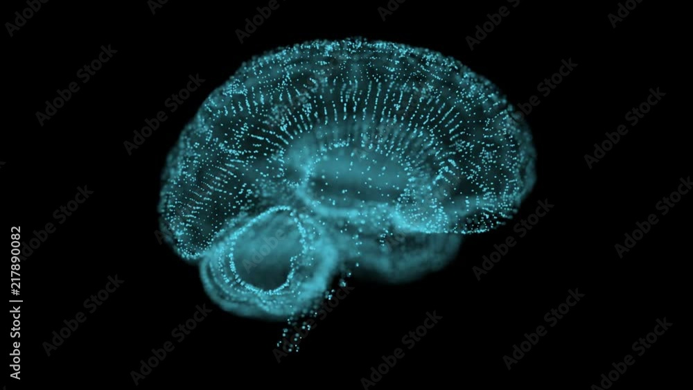 Aufkleber rotating brain. medical background. two hemispheres of the brain. seamless loop.