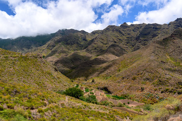 Fototapeta premium landscapes of Tenerife