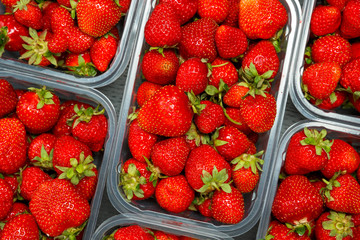 Close up of fresh red ripe strawberries in transparent plastic container boxes