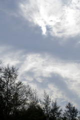 Sky and clouds with a beautiful light in the morning