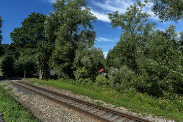 detail of train tracks running between meadows and forest in summer