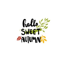 Hello sweet autumn badge isolated design label