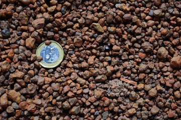 one dollar coin on brown gravel background