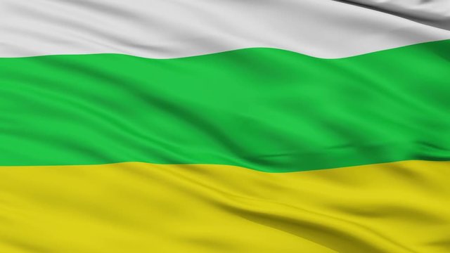 Guasca  closeup flag, city of Colombia, realistic animation seamless loop - 10 seconds long