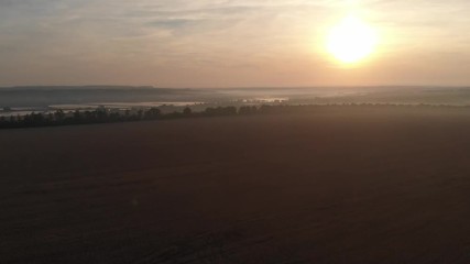 Dawn in the field. Fog over the field.