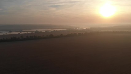Dawn in the field. Fog over the field.