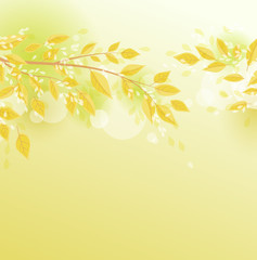 Obraz na płótnie Canvas Vector illustration of an autumn leaves, autumn nature background