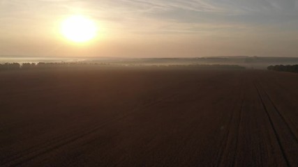 Dawn in the field. Fog over the field.