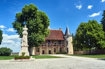 Wall murals Artistic monument monument and Historic mansion in Rumilly-les-Vaudes in Champagne.