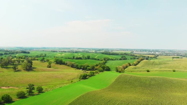 Rolling hills of corn, farmland, and livestock from 300 ft.