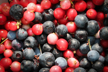 blueberry