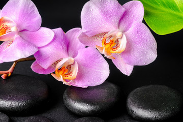 Fototapeta na wymiar spa concept of black zen stones, lilac orchid