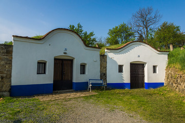 Fototapeta na wymiar Historic wine cellars in Petrov Plze, South Moravia, Czech Republic