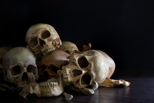 Pile of skulls and bones put on dark wooden plank which has dim light and the dark wall background