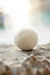 Fototapeta na wymiar Sand ball on summer tropical sunny beach