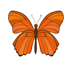 Big orange butterfly isolated on white background. hand drawn vector illustration.
